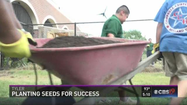 Community gardens planting seeds for success